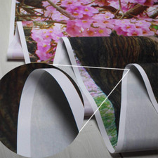 Fall Photography Backdrop 7X5Ft Autumn Leaves Pumpkin for Thanksgiving Decor