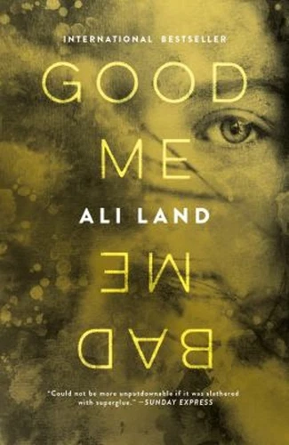 Good Me Bad Me : A Novel Paperback Ali Land