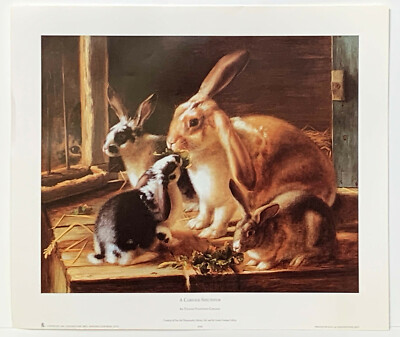 Kaninchen fressen Katze ''A Curious Spectator'' im Hintergrund Reproduktionsdruck