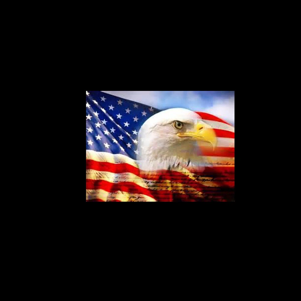 1x LED Motorcycle US American Eagle Ghost Shadow Spotlight Laser Projector Light — 第 2/4 张图片