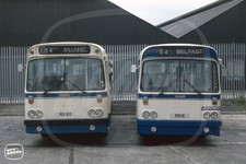 Bus Photo - Ulsterbus 120 ROI120 & 111 ROI111 Leyland Leopard Alexander Belfast