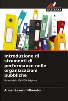 Introduzione Di Strumenti Di Performance Nelle Organizzazioni Pubbliche Mbembo