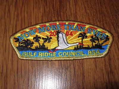 MINT CSP Gulf Ridge Council SA-28 FOS Gold Mylar Border