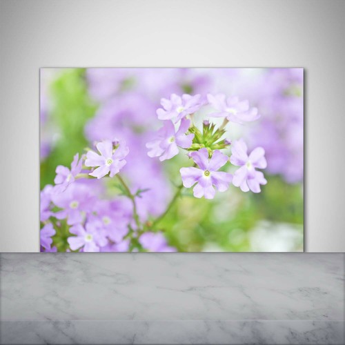 Panneau De Cuisine En Verre Tulup - 100x70 Cm - Design Jus De Fruits Coloré