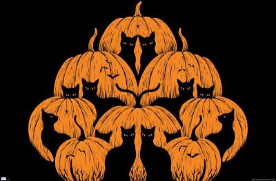 Episodic Drawing - Pumpkin Cat - Poster