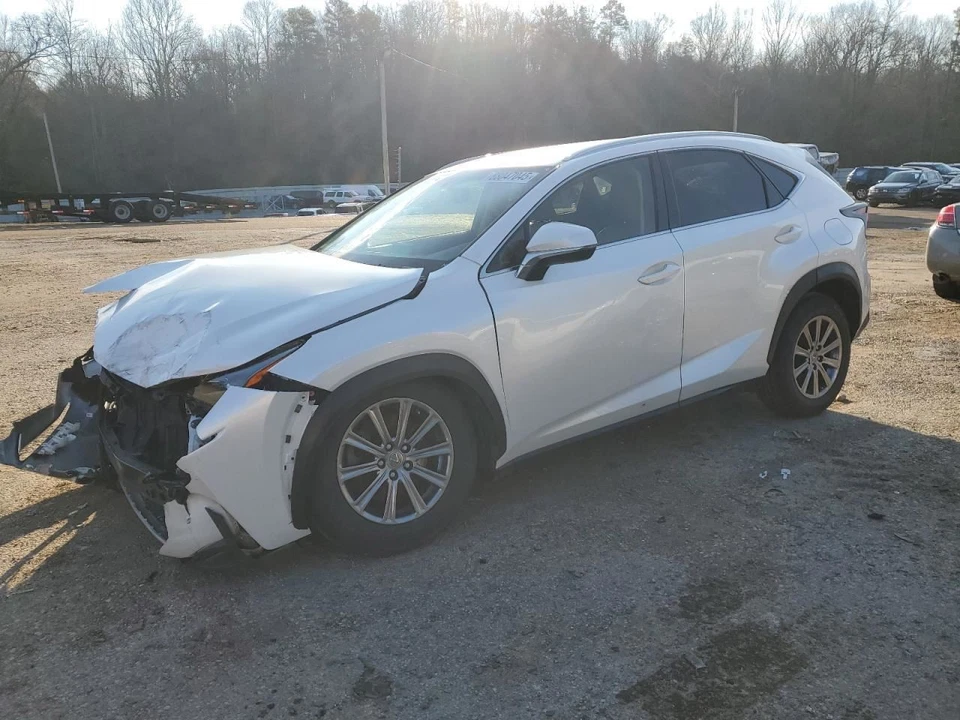 Passenger Right Rear Side Door Fits 15-17 LEXUS NX200T 4829528 Foto 2 de 4
