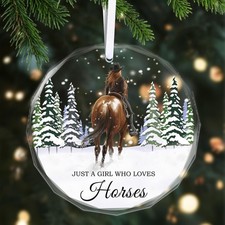 Christmas Ornaments 2025 - Horse Ornaments for Christmas Tree Horse Gifts for Wo