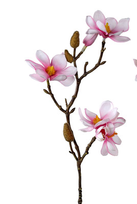 künstlicher Magnolienzweig weiß pink H. 38cm Formano Kunstblumen