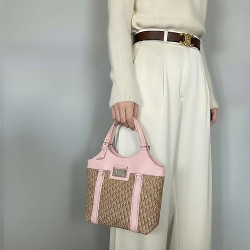 Dior Street Chic Handbag Pink Beige Coated Canvas Leather