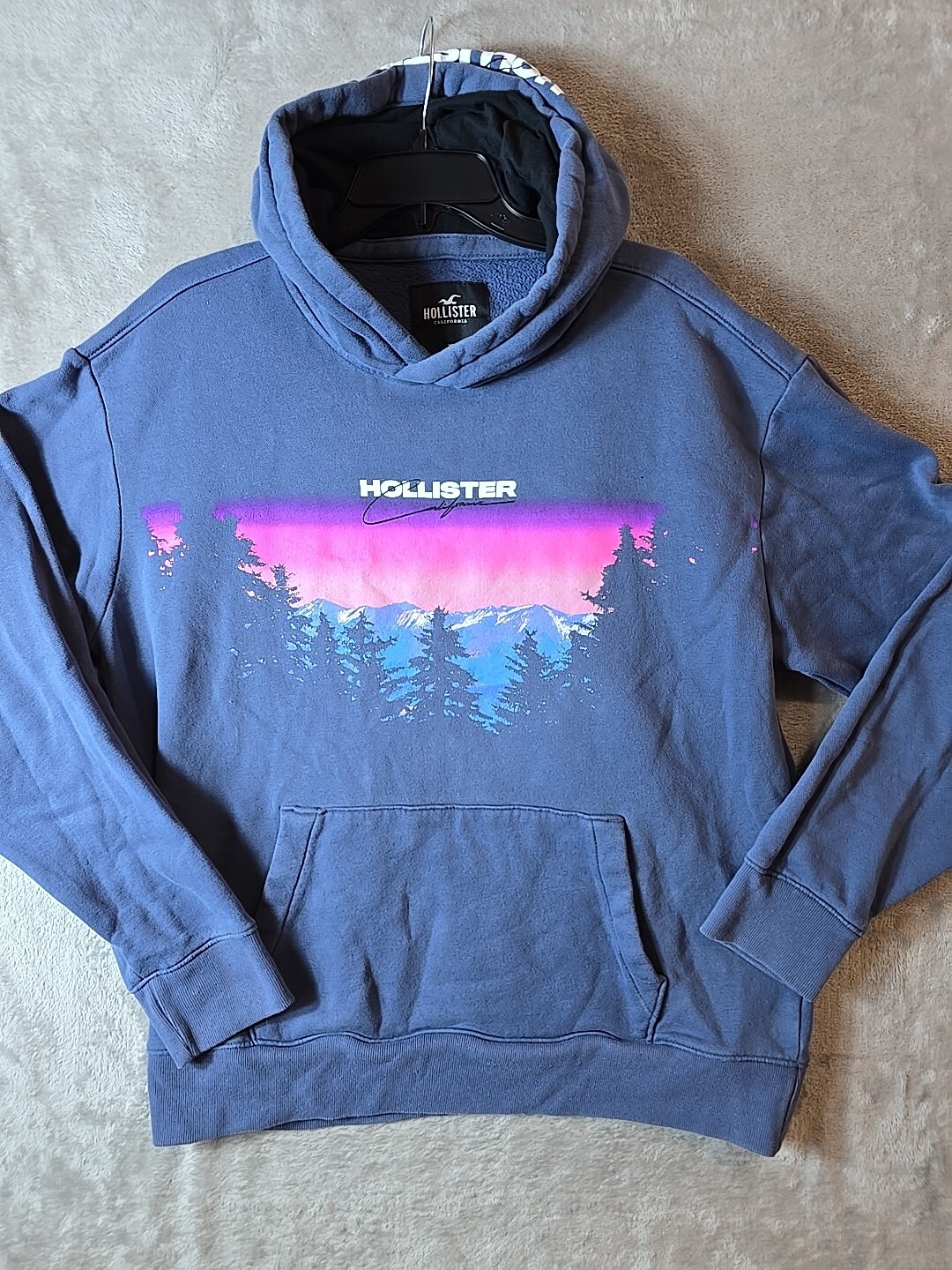 Hollister Sweater Large Adult Blue Hoodie Pullover Pockets Tree Graphic Mens XL