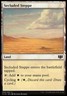 Magic the Gathering MTG Secluded Steppe (310) Commander 2014   LP