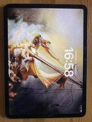 Apple iPad Pro 2. Gen 256GB, Wi-Fi, 11 Zoll - Space Grau, Glasbruch