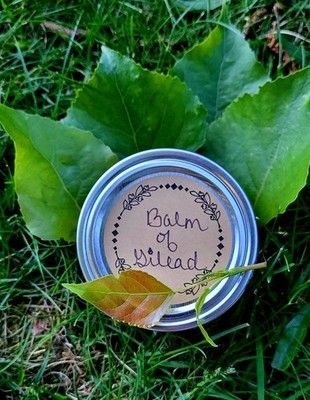 Balm Of Gilead 4 oz Organic - Dry Irritated Skin - Sore Muscle Pain Relief