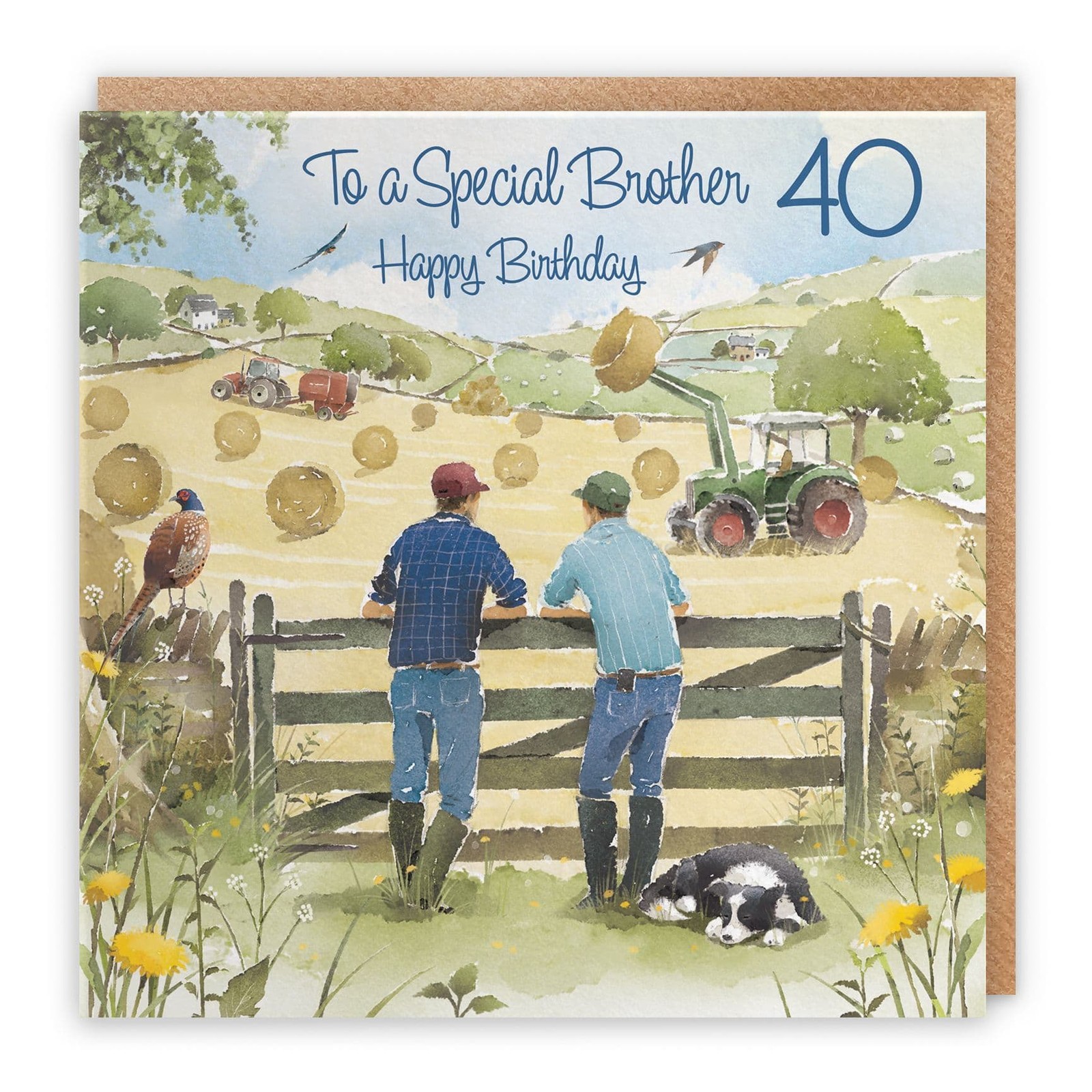 40th Brother Birthday Card Haymaking Milo's Gallery