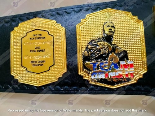 THE ROCK BRAHMA BULL WRESTLING CHAMPIONSHIP BELT 4mm Zinc - Picture 4 of 6