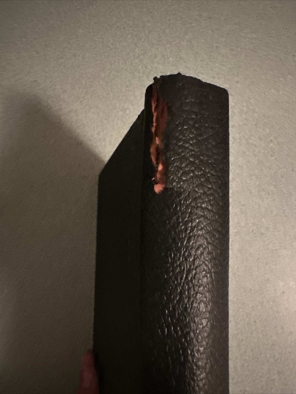 Picture 12 of 12
