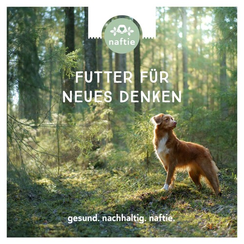 naftie Bio Linsen Power veganes Hundefutter Nassfutter Menü, 6x 800g - Bild 9 von 10