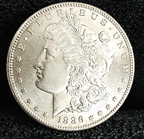 1886 S Morgan Dollar MS++ Great Eye Appeal Excellent Strike. 100% Original White