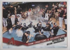 2019 Topps Opening Day Team Traditions and Celebrations Outfield Pool d1f
