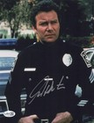WILLIAM SHATNER Signed STAR TREK CAPTAIN KIRK 8x10 Photo Aut