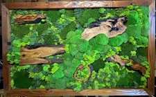 Moosbild mit Olivenholz 160x100 (Stärke 5cm) XXL mit Holzrahmen