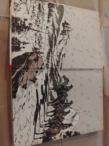 Tex Volume Un'avventura Nel Nord Mondadori 1ed 1983 - Foto 7 di 22