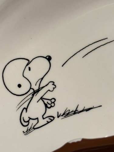 Rae Dunn x Peanuts Football Touchdown Platter, Score, Snoopy & Woodstock, NEW!! - 第 15/17 張圖片