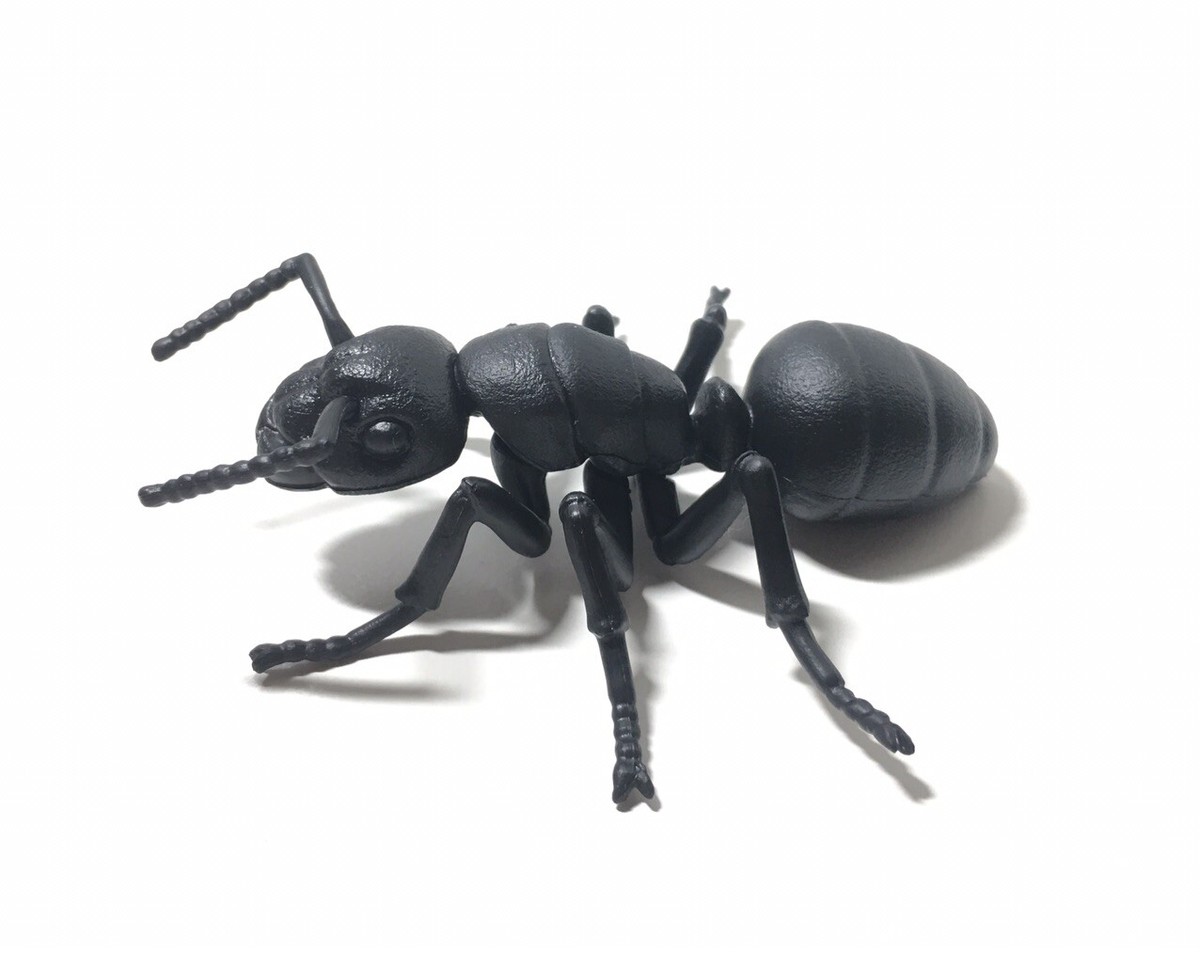 Japan Exclusive Takara Tomy Arts Carpenter Ant Figure | eBay