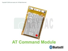 MDBT42Q-ATL2 AT Command/UART/SPP Bluetooth Module Nordic Chip Antenna BT5.2 FCC