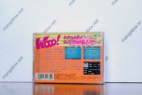 SUPERSTAR PRO WRESTLING NINTENDO FAMICOM (NES) FC JAP JPN NTSC-J usato: buono