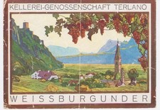 Etikett Kellerei-Genossenschaft Terlano, Weissburgunder