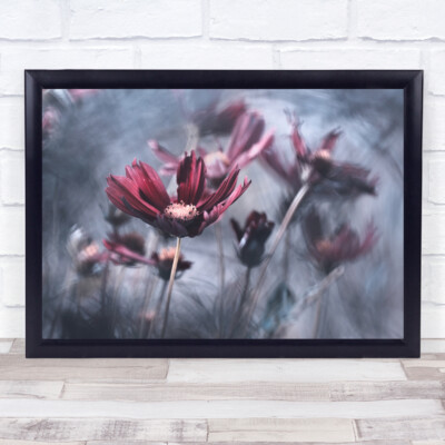 Makro Blume Blumen Flora Floral Blurry Blurry Botanical Bokeh Wandkunstdruck