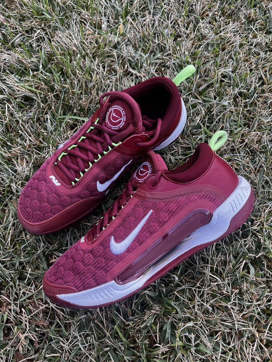 virginia tech nike pegasus