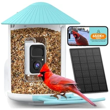Revolutionize Your Birdwatching: by Birdfy Smart Feeder, AI & Solar Powered