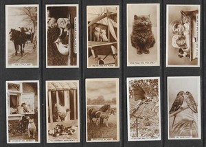 de reszke cigarette cards art treasures De Reszke