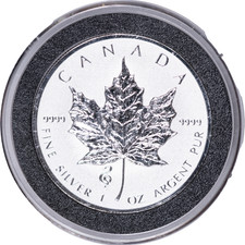 2013 $5 Reverse Proof Canadian Maple Leaf - .9999 1oz Fine Silver - Snake Privy
