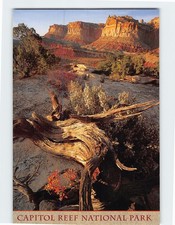 Postcard Capitol Reef National Park Utah USA