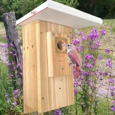 Wren Chickadee Nuthatch Titmice House | Cedar | Insulated | Predator Guard |