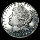 1891 Morgan Dollar Silver ---- Gem BU PL Coin ---- #669Z