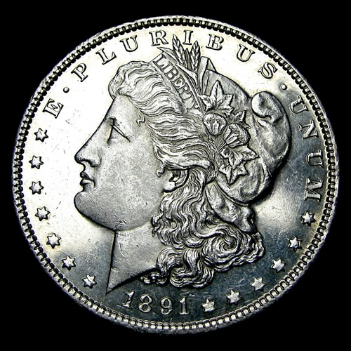 1891 Morgan Dollar Silver ---- Gem BU PL Coin ---- #669Z