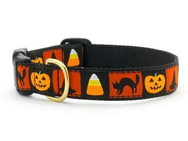 Up Country Dog Collar Halloween Pumpkin Adjustable Made In USA XS S M L XL  XXL