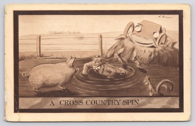 A Cross Country Spin   Pig, Man, Car, and Rooster Comic Postcard