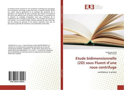 Etude bidimensionnelle (2D) sous Fluent d'une roue centrifuge Medjerab Nabil
