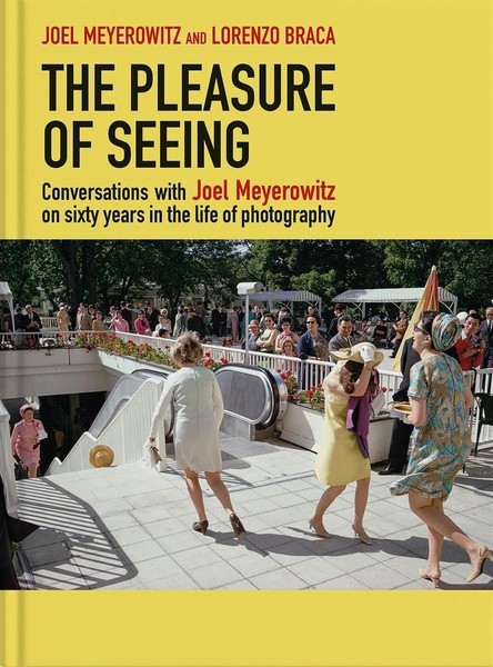 The Pleasure Of Seeing, Lorenzo Braca-image