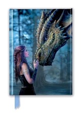Anne Stokes: Pewnego razu (foilowany dziennik)