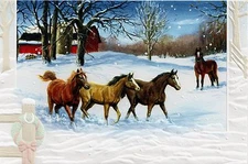 16 Boxed Embossed Christmas Cards Horses Bay Chestnut Horse Arabian Arab