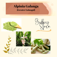 POWDER Greater Galangal Alpinia Galanga Organic