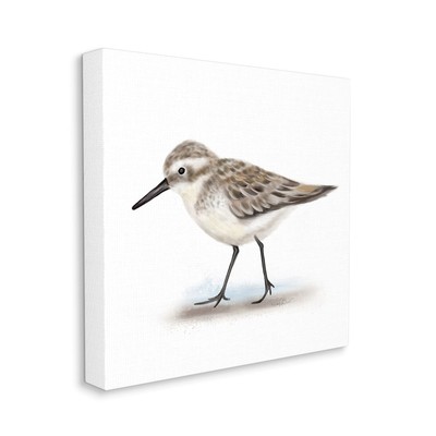 Nautical Sandpiper Bird on Sand Speckled Feathers, Designed by Studio Q Canva...