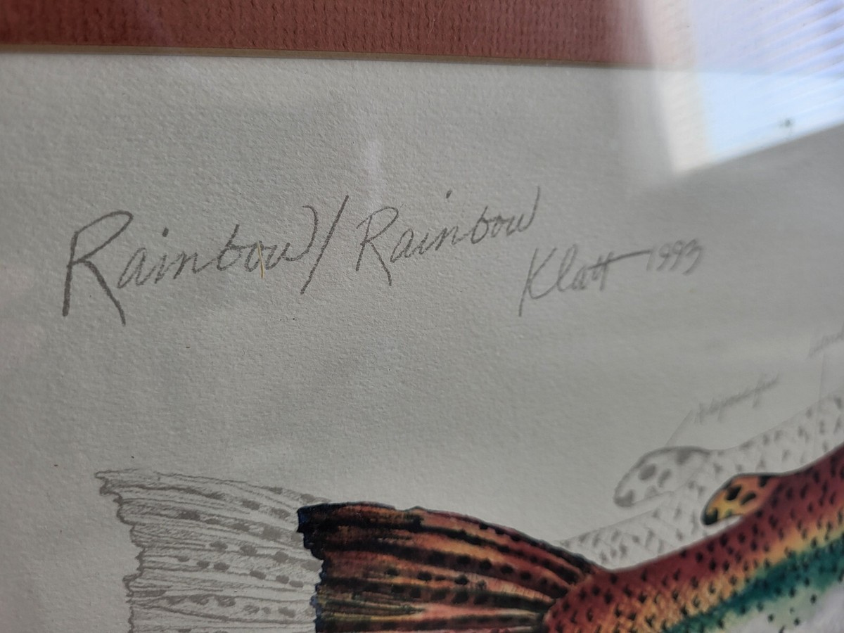 絵画 Eileen Klatt Rainbow Trout 1993 Signed Eileen Klatt “Rainbow/Rainbow Trout Lithograph