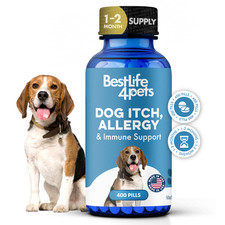 Dog Allergy Relief  Immune Support